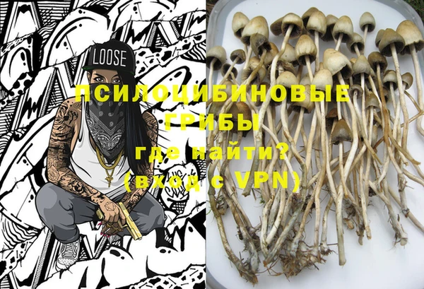 крисы Володарск