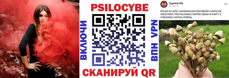 Галлюциногенные грибы Magic Shrooms  где можно купить наркотик  Гаврилов-Ям 